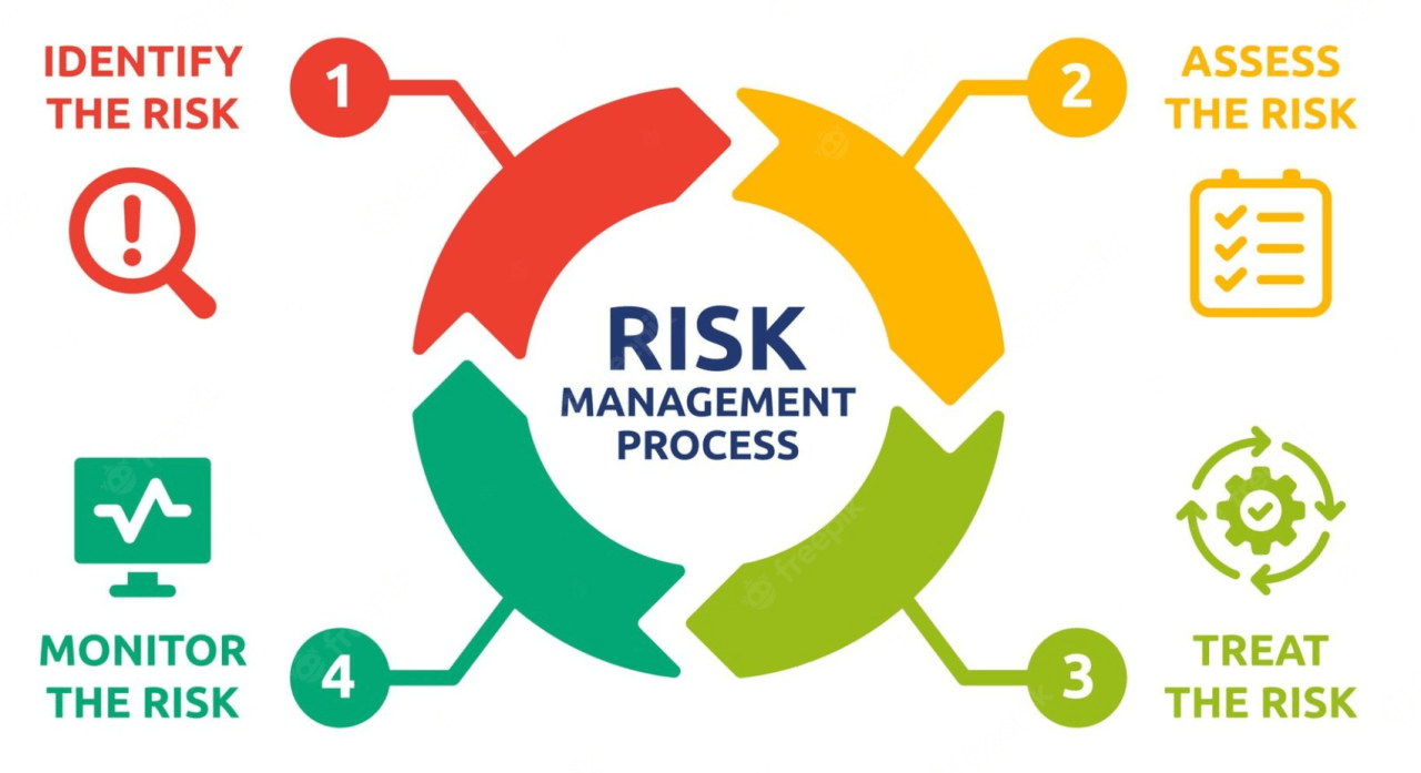 risk management process