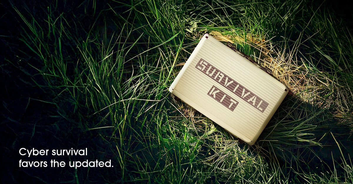 Cyber survival favors the updated. (Infographic)